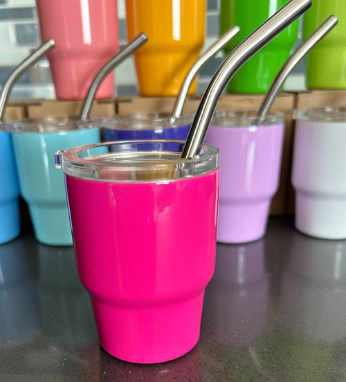 Tumbler Mini Shot Glass with Metal Straw and Lid