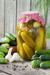 For the Garden | Seed Packets Cucumber-Boston Pickling 1887