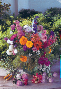 For the Garden | Seed Packets Help Butterflies Help Pollinators - Pollinator Wildflower Seed Packets