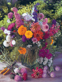 For the Garden | Seed Packets Bee Kind - Pollinator Wildflower Mix Seed Packets