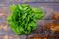 For the Garden | Seed Packets Lettuce-Buttercrunch Bib 1963