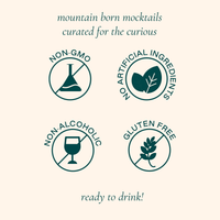 Sparkling NA Aperitif Spritz - Aperol Spritz Mocktail