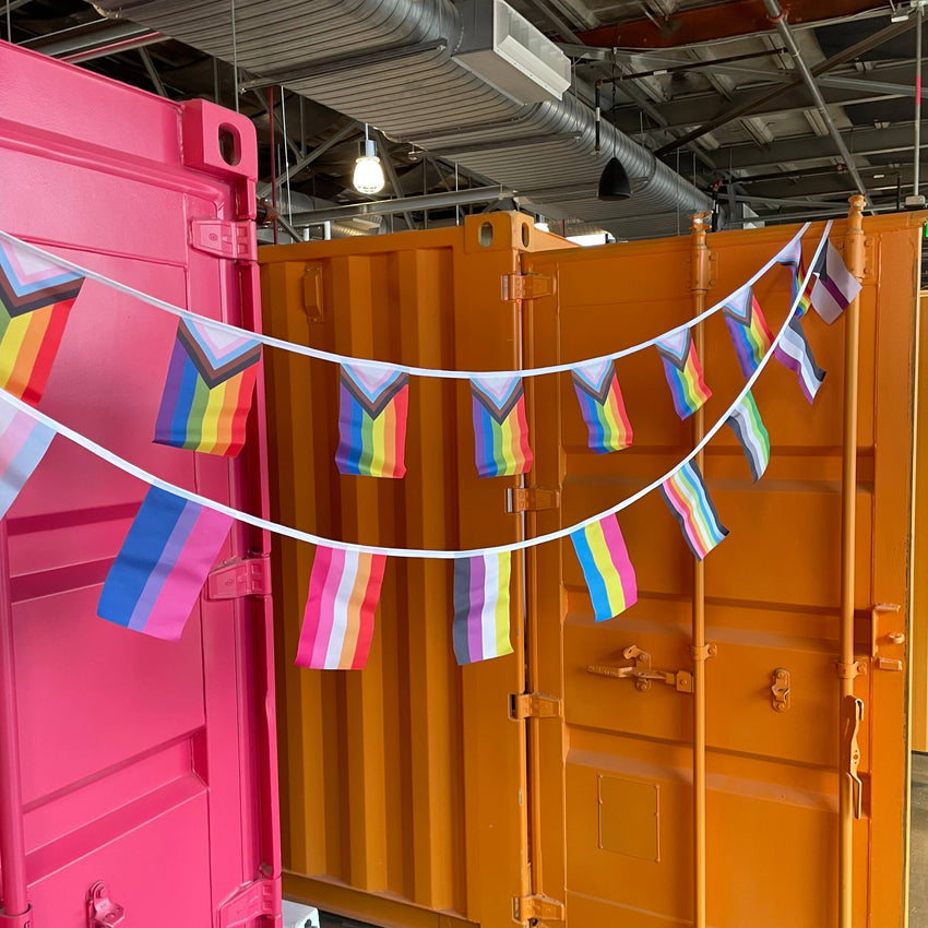 Large Pride Flag - String Bunting