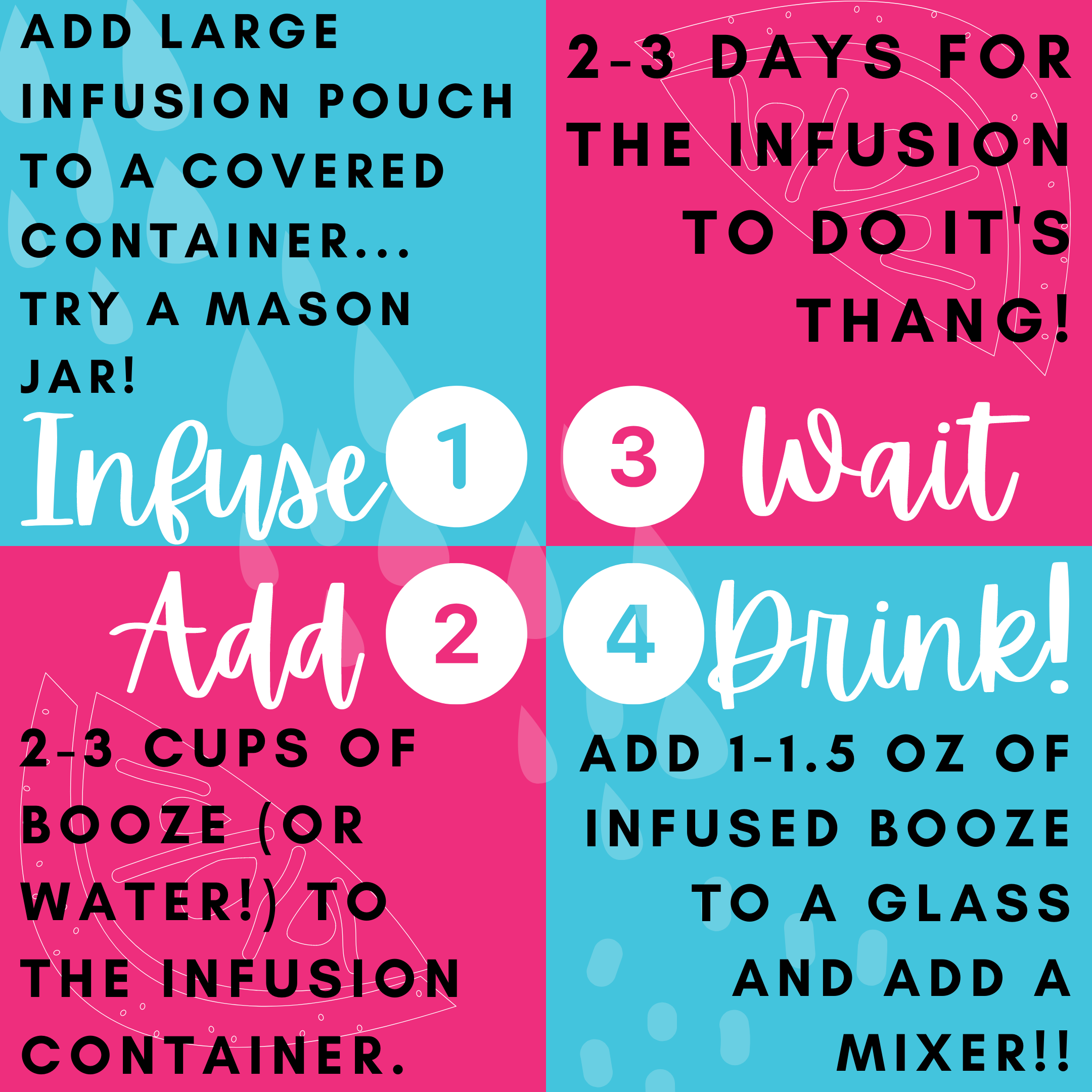 Gingerbread Cookie Infusion Kit