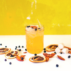 Blueberry Peach Cobbler Alcohol Infusion Kit