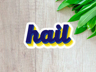 Hail - U of M - University of Michigan Sticker Laptop Water Bottle Sticker