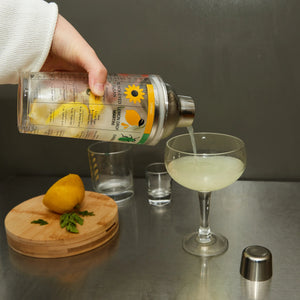 Four Seasons Glass Cocktail Shaker