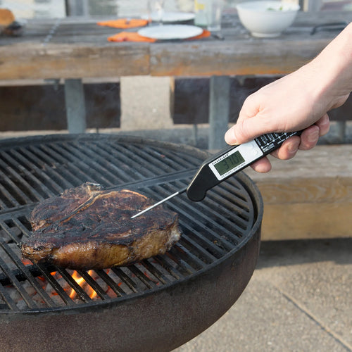 Digital BBQ Thermometer