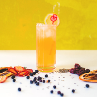 Berry Lavender Lemonade Alcohol Infusion Kit