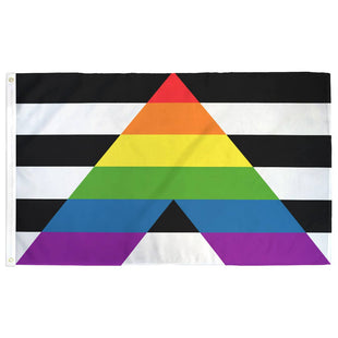 Large LGBTQ Ally Flag - Show your Pride as an Ally!